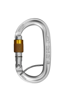 CT Karabinek PILLAR PRO SGL silver