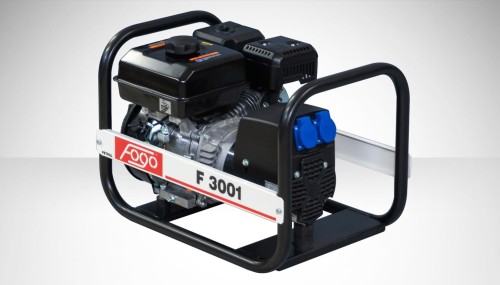 f3001.jpg