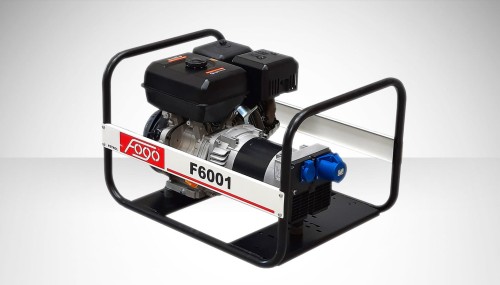 f6001.jpg